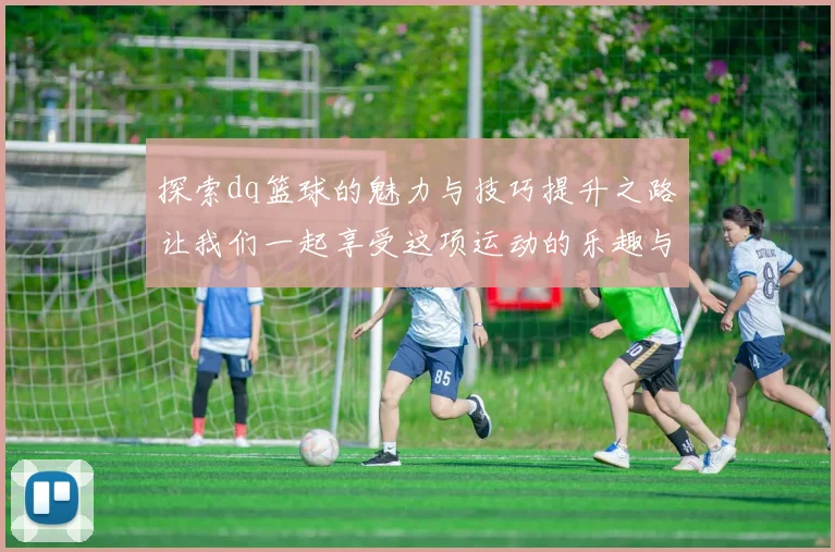 探索dq篮球的魅力与技巧提升之路让我们一起享受这项运动的乐趣与挑战