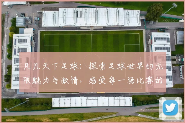 凡凡天下足球：探索足球世界的无限魅力与激情，感受每一场比赛的心跳与梦想