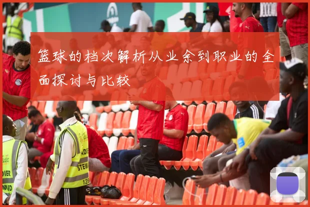 篮球的档次解析从业余到职业的全面探讨与比较